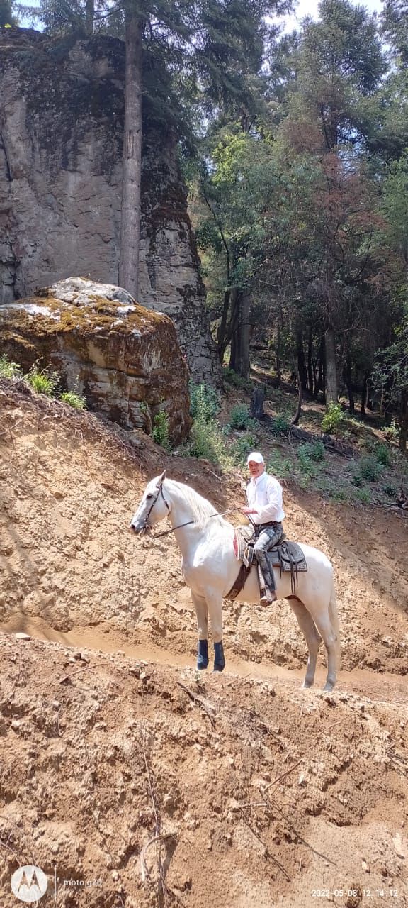 Explora y Saborea: Cabalgata de 4 Horas + Comida