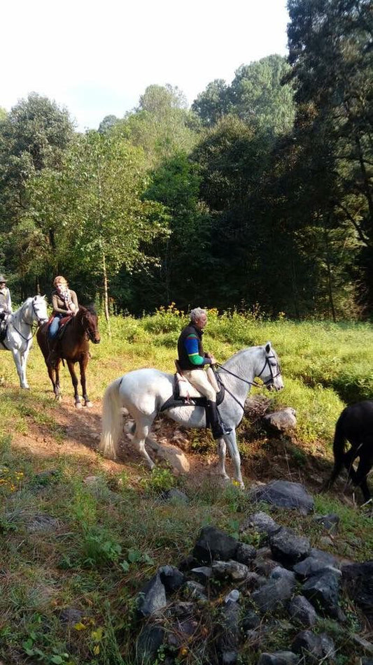 Explora y Saborea: Cabalgata de 4 Horas + Comida