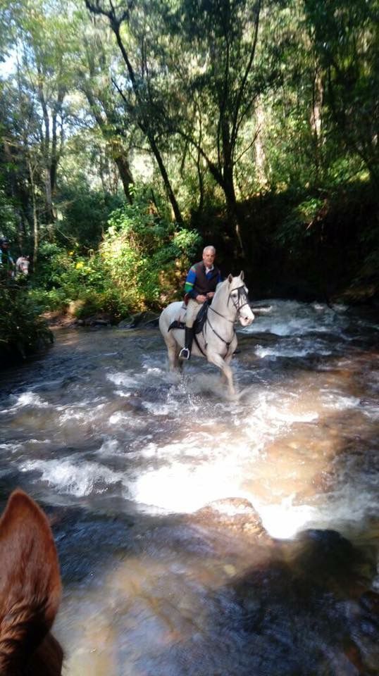 Equestrian Mastery: Salto, Dressage, Monta Vaquera