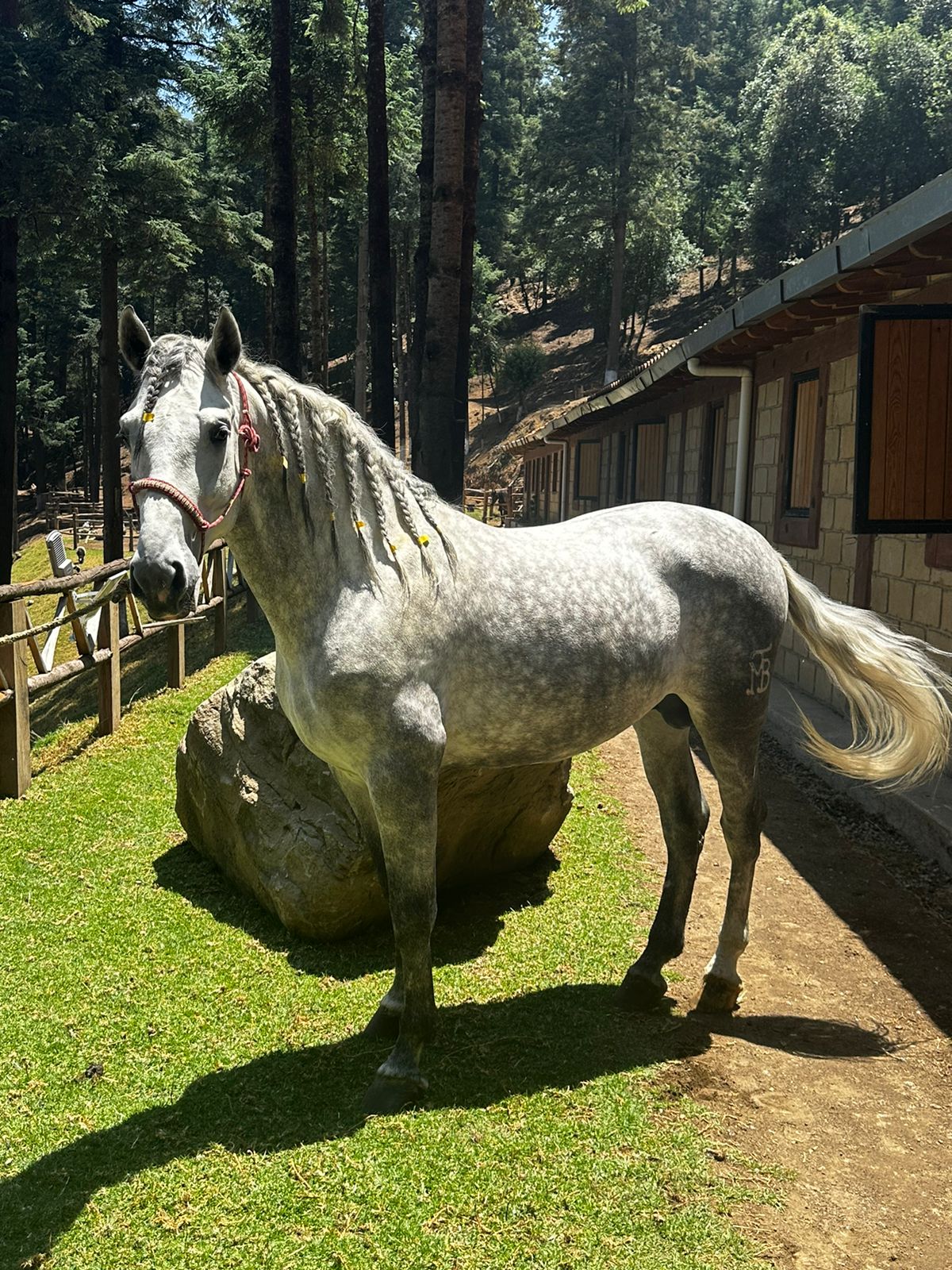 Rancho Todo Incluido