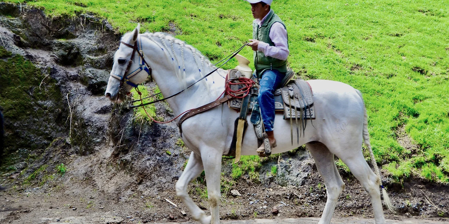 Climbing + cabalgata