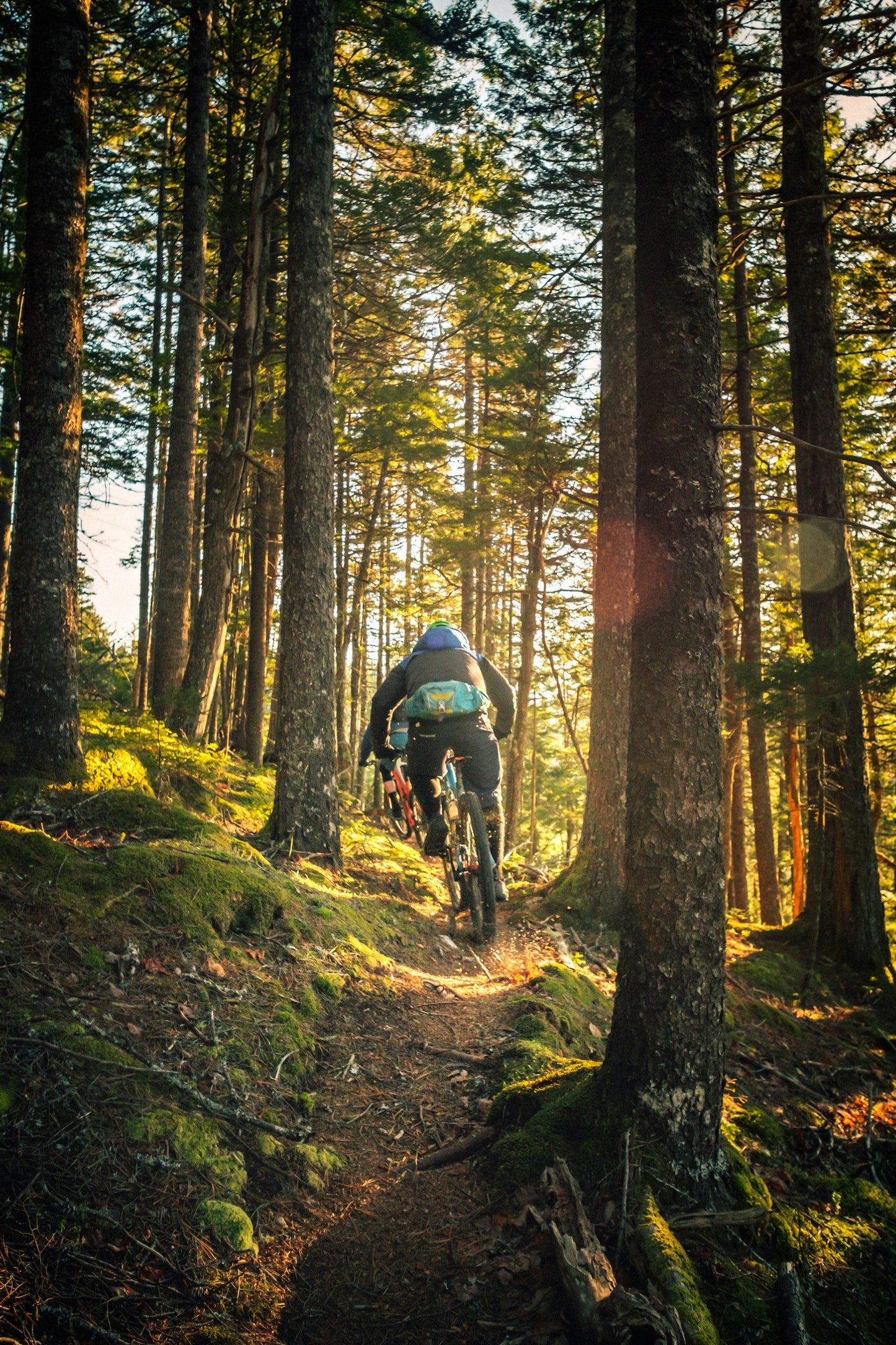 Mountain Biking ( con bicicleta)