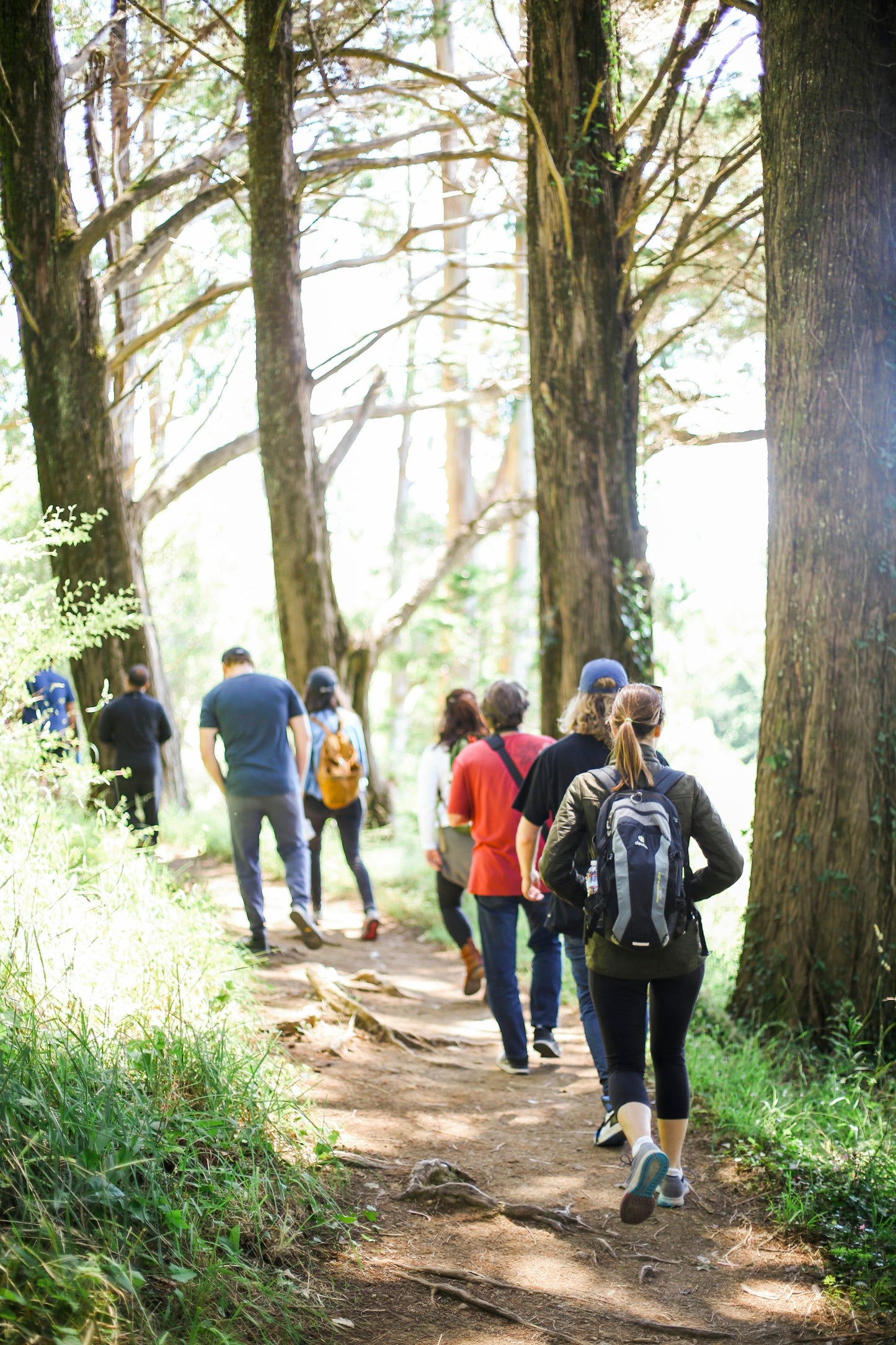 Hiking